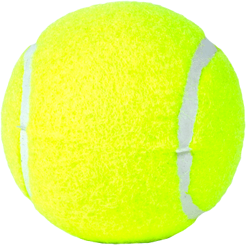 tennis0002.gif